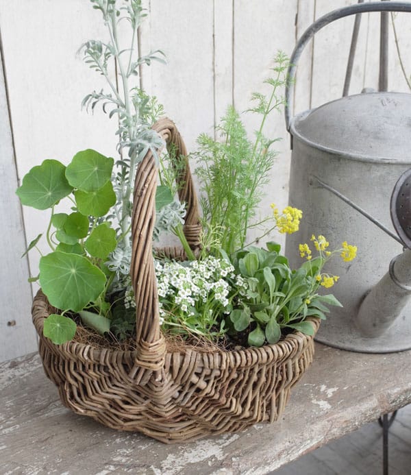 ワークショップ 2