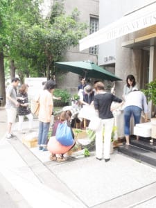 第17回　「　Natural connection  白金市」のお知らせ
