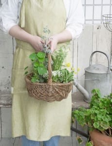 ワークショップ“ハーブと季節の花の寄せ植え”